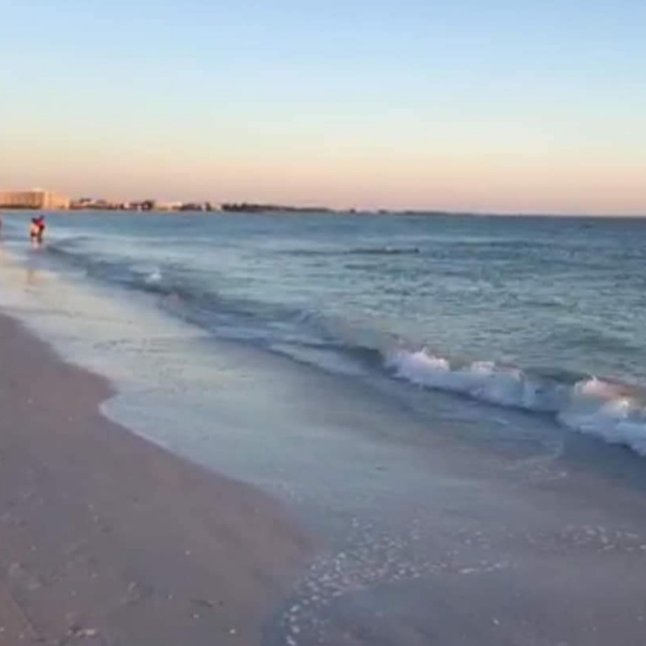 Meet your Posher, Patricia - Picture 3 of 5